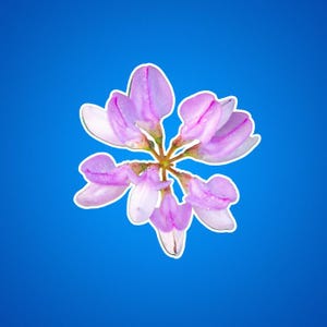 Sticker fleurs vesce couronne - Stickers botaniques découpés, sticker floral pour ordinateur portable, sticker journal nature, sticker planificateur de fleurs, jardin