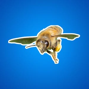 Flying Honeybee Sticker, Green Flower Decal, Nature Lover Gift, Laptop Sticker, Cute Bee Decor, Planner Sticker bugs and insects