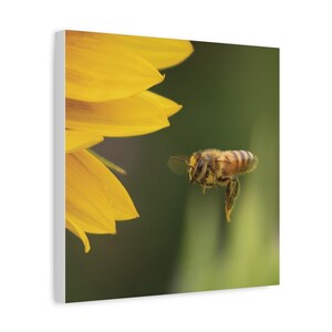 Canvas Wall Art, Honeybee in Flight, Bees, Stretched Matte Canvas, 1 25", Home Decor, Nature Lover Gift, Beekeeper Art, Wall Decor,