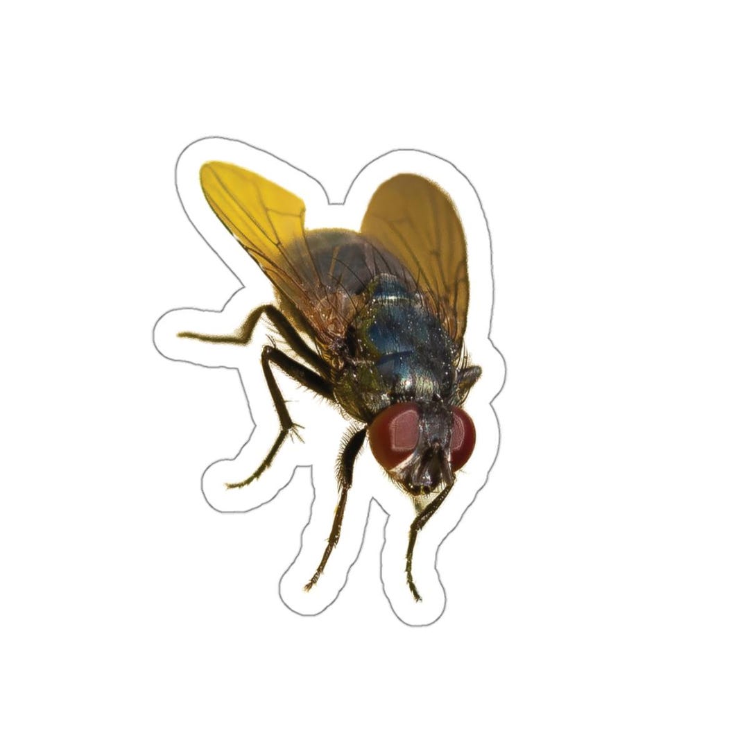 Green Bottle Fly Stickers, Fly on a Flower, Flies and Bugs, Wildlife ...