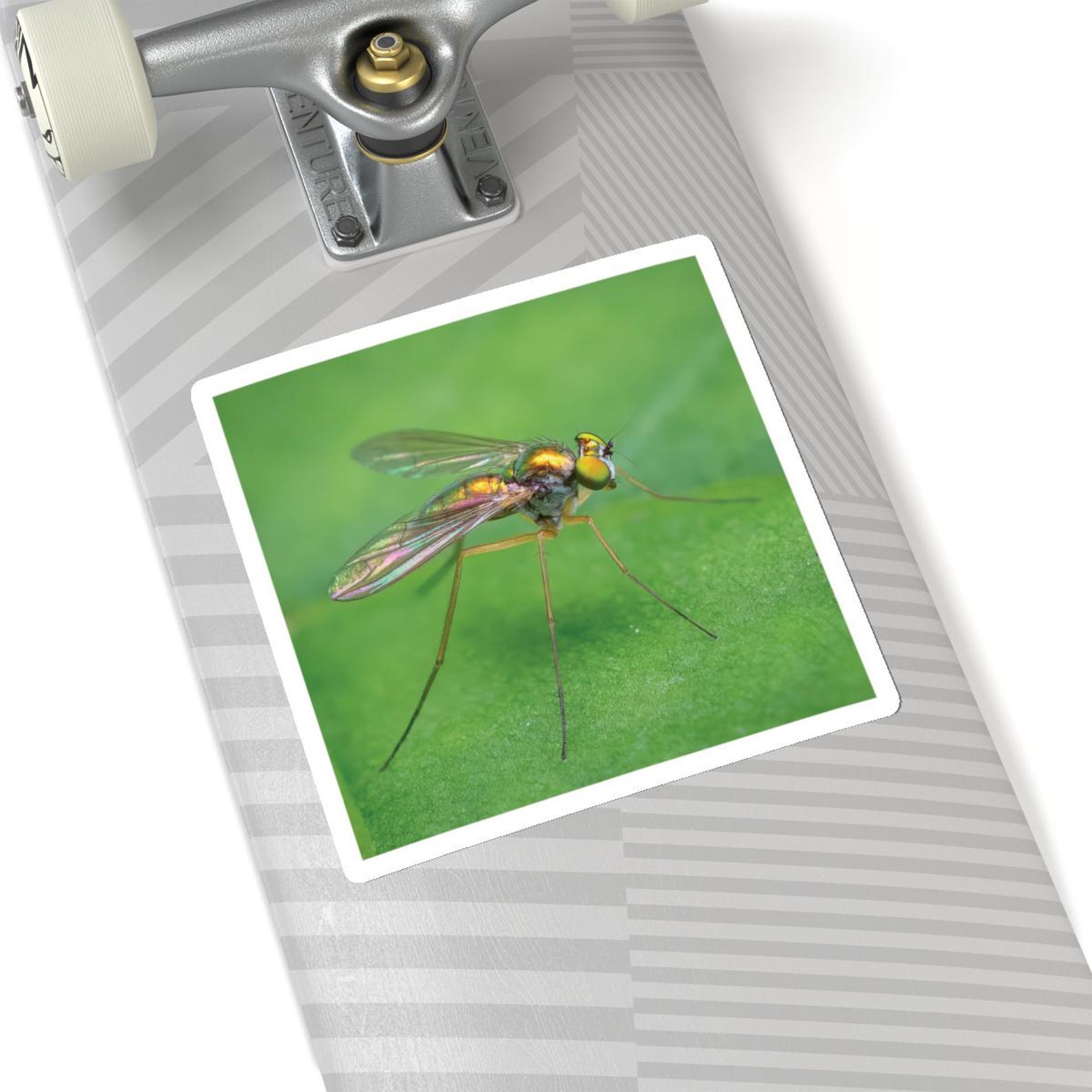 Shiny Bug Sticker, Shiny Fly Stickers, Shiny Bug Stickers, Shiny Flies ...