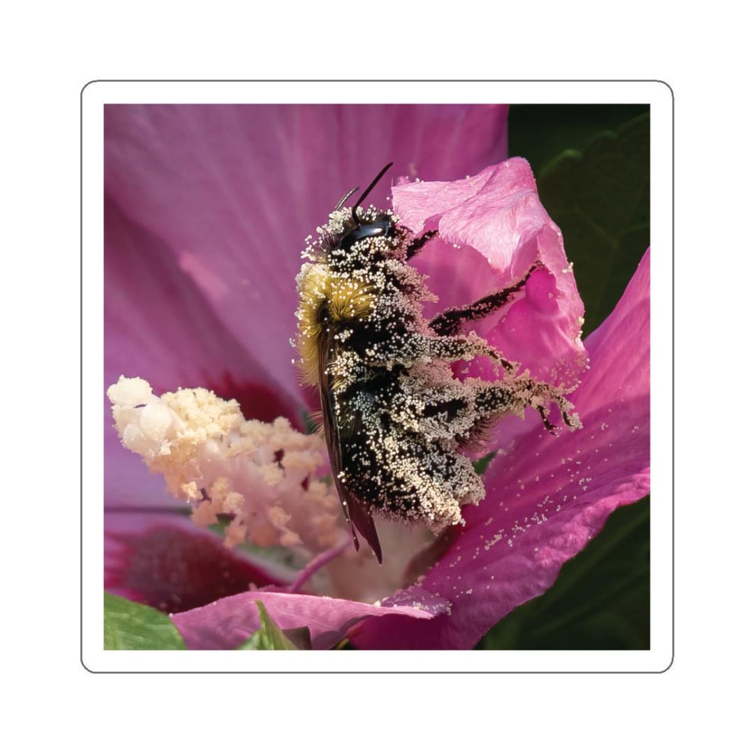 Pollen Sticker Bumble Bee Stickers, Bumblebee Sticker, Bumble Bee Covered in Pollen ...