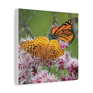 Canvas Wall Art, Fritillary and Monarch Butterfly Design, Matte, Home Decor, Nature Lover Gift, Bedroom Decor, Living Room Wall Decor,