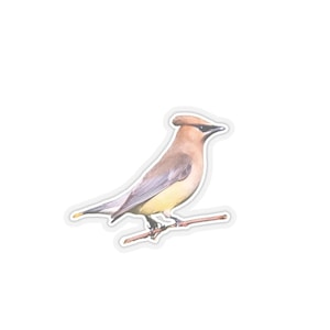 Cedar Waxwing-stickers, waxwing-stickers, vogelstickers, prachtige vogels, natuurfotosticker, natuurfotosticker, vogels, dieren