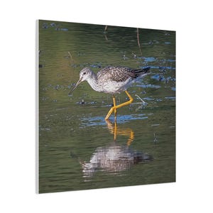 Canvas Print, Yellow Legs Photo - Wall Art, Home Decor, Photography Gift, Nature Lover Gift, Minimalist Art Print