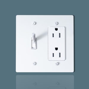 Toggle and Outlet Combo |  Decorative Wall Plate