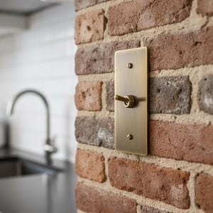 Combinações de interruptores de luz retrô em latão envelhecido escovado - Dimmer/Tomada. Placas de interruptor de latão exclusivas - Tampas de interruptor de luz premium.