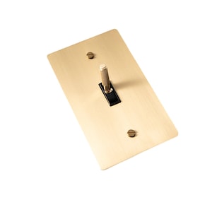 May include: A rectangular, brushed brass light switch plate with a black toggle switch and two brass screws. The toggle switch has a textured, cylindrical handle. The plate is a warm, metallic gold color.