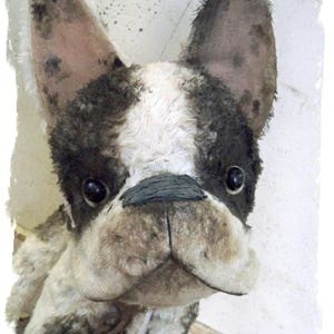 Puede incluir: Un primer plano de un perro de peluche con pelaje blanco y negro. El perro tiene una nariz negra y ojos grandes y oscuros. Las orejas del perro son caídas y el pelaje está ligeramente desgastado.