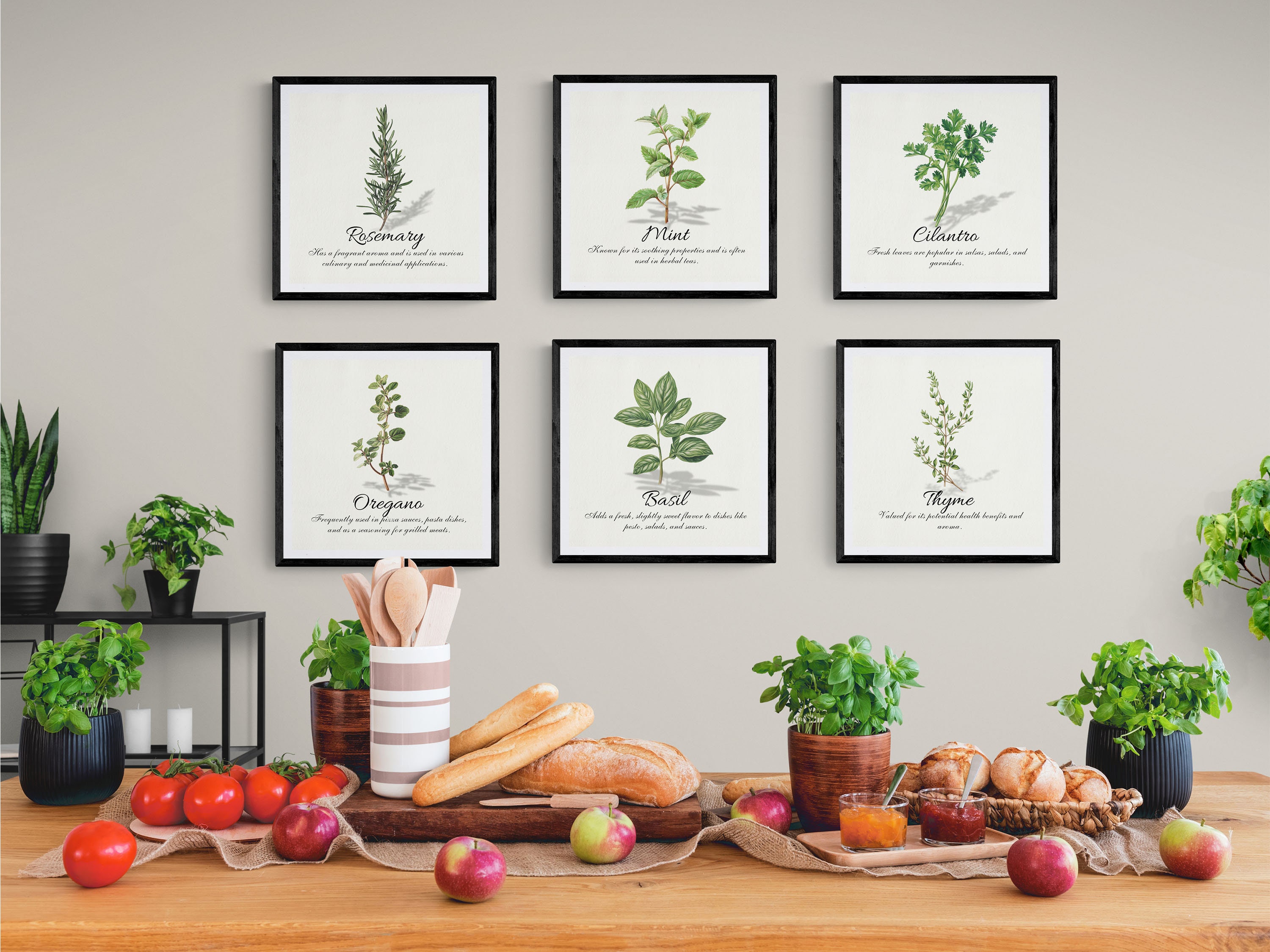 Herb Wall Art Bundle, Digital Download, Square Botanical Prints ...