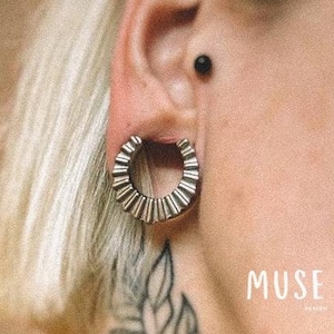 Ear Weight Gauge Ear Plug Earrings for Stretched Ears Stainless Steel Hollow Plugs Earrings Jewelry Ear Tunnel