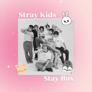 Small Stray Kids Stay Box!