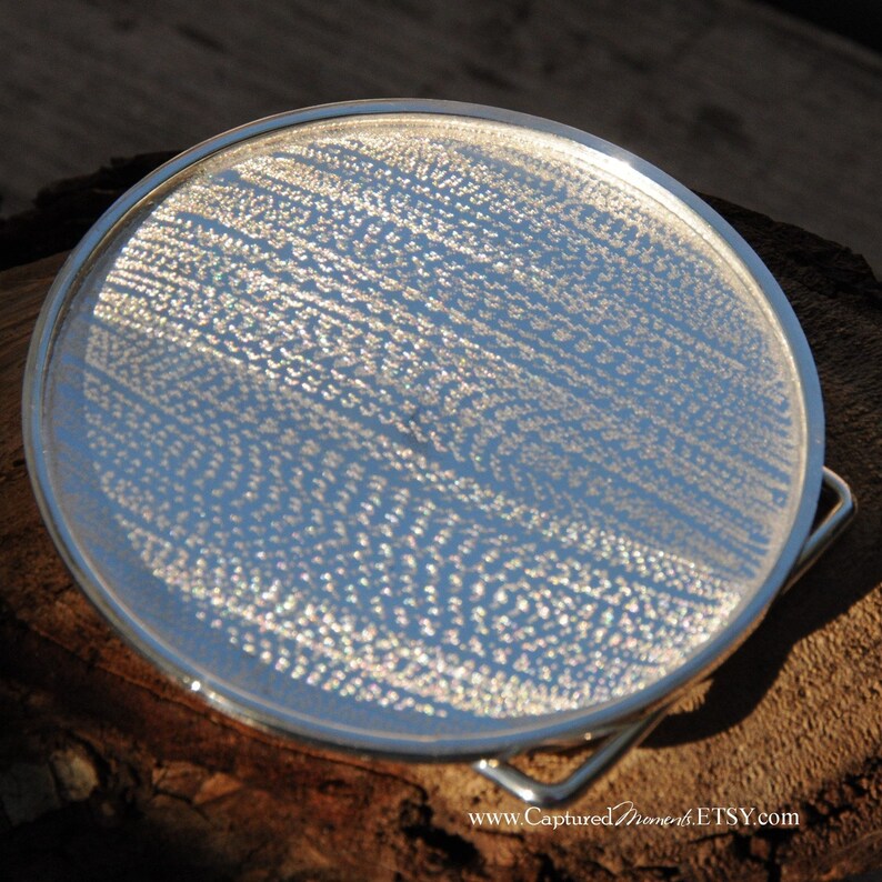 Cowboy UP with this Belt Buckle in Silver Plate image 2