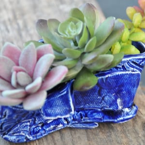 May include: A blue ceramic planter shaped like a shoe with three succulent plants. The plants are green, pink, and white.