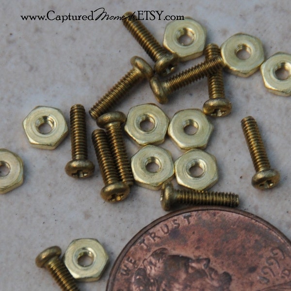 Micro Brass Screws and Nuts 1/4 inch