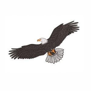 Bald Eagle Machine Embroidery Design. 6 Sizes. Bird Embroidery Design. Digital Download. Instant Download. Animals Embroidery.
