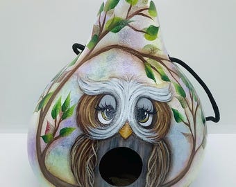 Owl Gourd Birdhouse - Hand painted Gourd