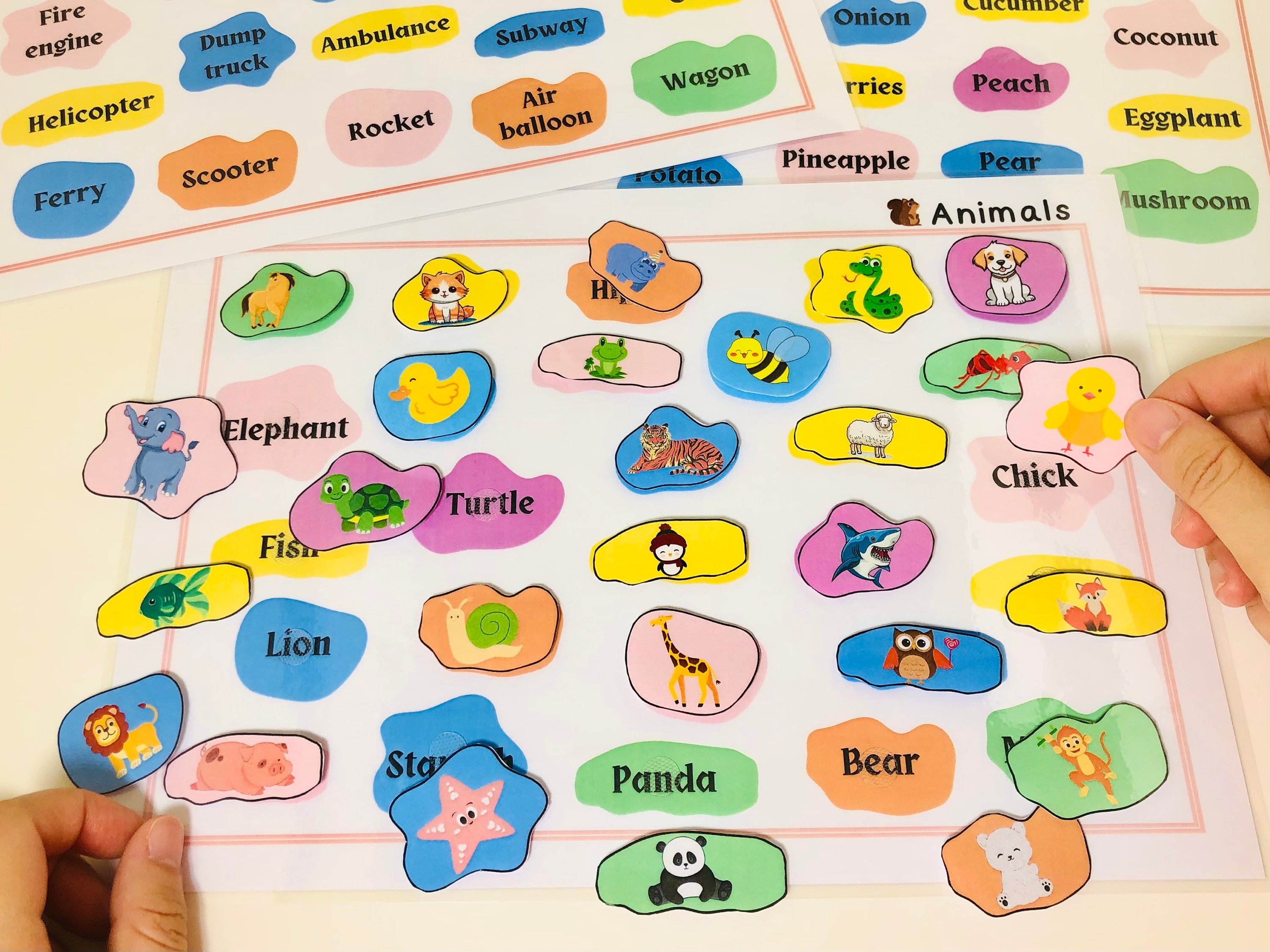 Animals Matching Activity Worksheet, Color Sorting Gift for Kids ...