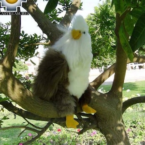 Puede incluir: Un peluche de águila con plumas blancas y marrones, un pico amarillo y patas amarillas, posado en una rama de árbol. El fondo presenta follaje verde y un cielo soleado. La dirección del sitio web www.incatreasures.com es visible.