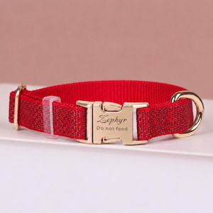 Può includere: Un collare rosso glitterato per animali domestici con una fibbia a scatto in metallo dorato incisa con il testo Zephyr e Do not feed. Il collare include un anello a D in metallo dorato e un cursore di regolazione in plastica trasparente.