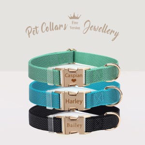 Custom Reflective Dog Collar Engraved Name Dog Collar and Leash Sets Reflective Puppy Collar Safety Adjustable Dog Collar Pet Gifts