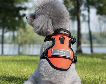 Personalized No Pull Dog Harness with Name Patch, Reflective Adjustable Pet Vest, Custom Dog Harness for Walking, Training, Hiking