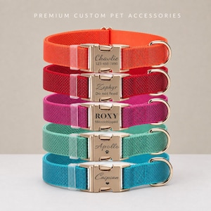 May include: A stack of five pet collars in orange, red, magenta, teal, and blue. Each collar features a gold-tone metal side-release buckle engraved with a pet name and contact information. The text reads Chavlie, Zephyr, ROXY, Apollo, and Caspian.