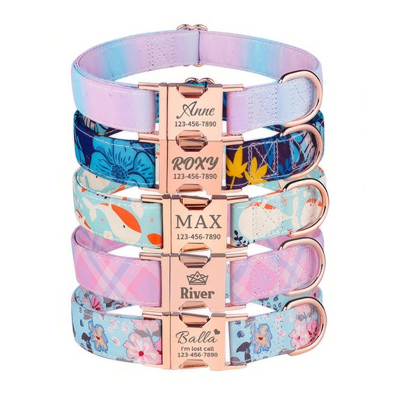 Offerta Collare A Strappo Gatto - Recensioni Consigli Per L'acquisto