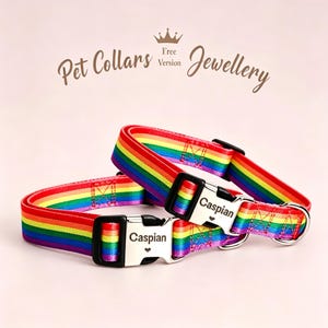 May include: Two rainbow-striped pet collars with black buckles and the name "Caspian" engraved on the metal clasps. The collars are displayed on a light pink background. The text "Pet Collars Jewellery" is at the top.