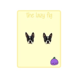 Boston Terrier - boucles d’oreilles en titane à clous ou pendantes