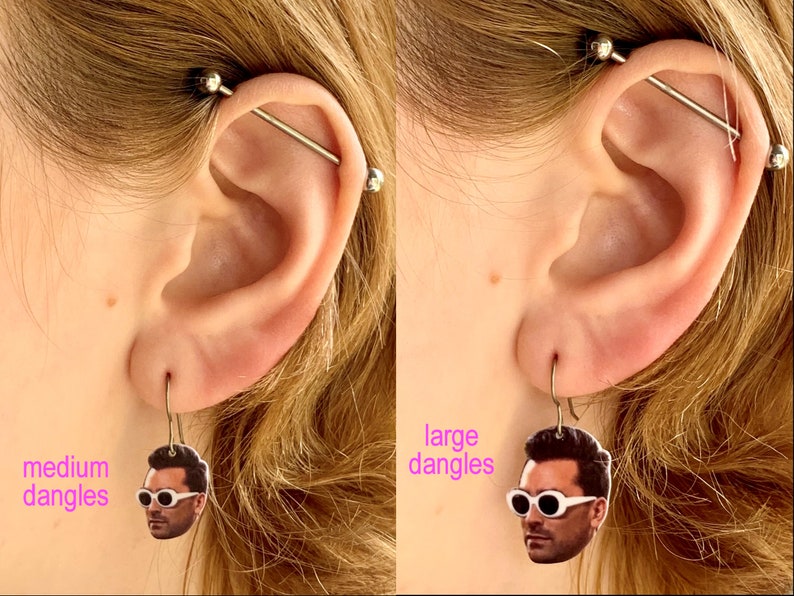 stud or dangle titanium earrings Bernie Sanders Democratic candidate 2020 election