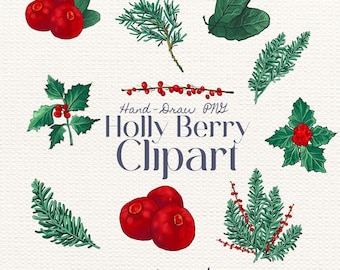 Holly Berry Clipart PNG: Christmas Greenery, Pine Branch, Hand Drawn Winter Botanicals, Holiday Wreath (Digital Art)