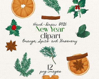 Winter Greenery and Orange Clipart, Hand Draw Christmas Art (Digital Download PNG)