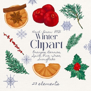 May include: A digital illustration featuring winter-themed elements. The image includes oranges, berries, pine branches, snowflakes, and spice. Text reads "Hand-Draw PNG Winter Clipart" and lists elements. The image has 23 elements.
