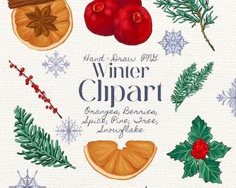 Winter Clipart: Dried Oranges, Holly, Pine Branch (Digital PNG Illustrations)
