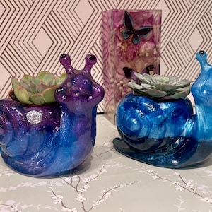 Könnte beinhalten: Zwei blaue und violette Schnecken-Blumentöpfe mit Sukkulentenpflanzen darin. Die Töpfe sind aus Harz und haben eine glänzende Oberfläche.