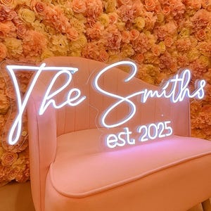 Custom Neon Sign, Personalized LED Name Light, Neon Wall Decor, Custom Text Sign, Aesthetic Room Sign,Neon Light, Home Decor LED Sign