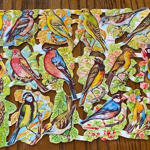 Vintage Vögel Die Cuts German Schrott / ATC / Junk Journals / Scrapbook / Kartenherstellung / Collage / Mixed Media