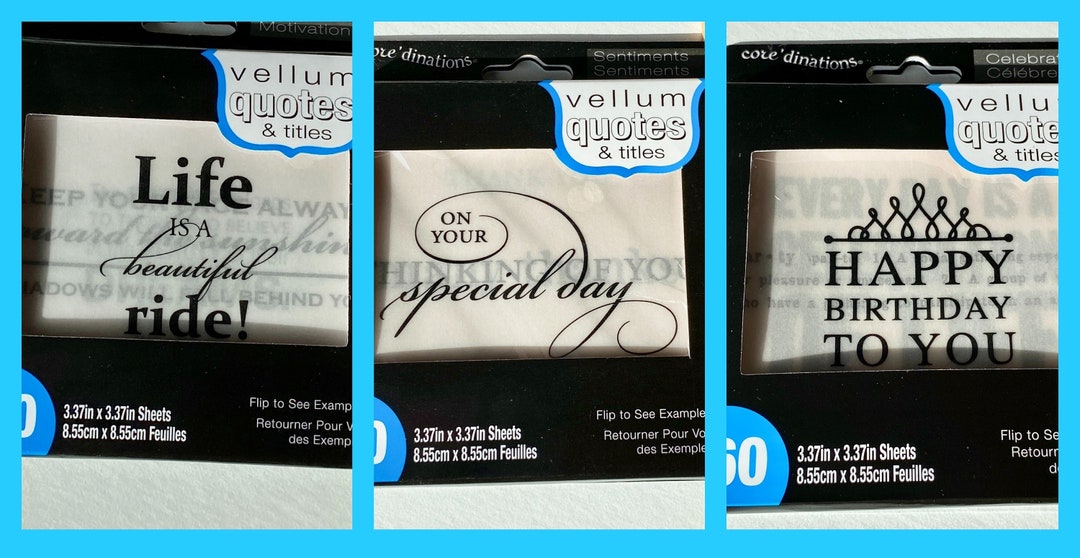60 Vellum Quotes and Titles You Choose / Life / Special Day / Birthday