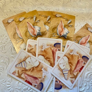 May include: A set of eight cards featuring illustrations of seashells. The cards are printed on a cream-colored background with a gold border. Each card features a different seashell with a unique design.