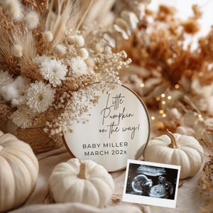 Peut inclure: Annonce de grossesse avec un panneau rond portant l'inscription "Little Pumpkin on the way!" et le nom "BABY MILLER MARCH 202X." L'image comprend des citrouilles blanches, des fleurs séchées et une échographie.