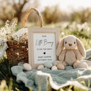 May include: A baby announcement scene featuring a framed sign with the text "Our Little Bunny Is On The Way!" alongside a plush bunny and a basket of flowers. Several pastel eggs are arranged on a blanket, set on a grassy background.