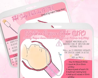 Internal Fetal Monitoring Badge Buddy | Labor and Delivery Nurse IUPC & FSE Patient Visual Education Tool