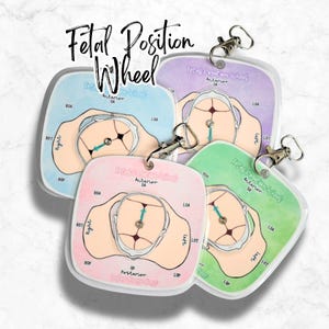 May include: A collection of Fetal Position Wheel keychains in various pastel colors: blue, purple, pink, and green. Each keychain features a diagram with labels like "Anterior" and "Right," and includes a silver-colored clasp.