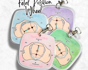 Fetal Position Wheel Badge Buddy Accessory: Rotating Visual Childbirth Patient Education Tool | Labor and Delivery Nurse, Midwife, Doula