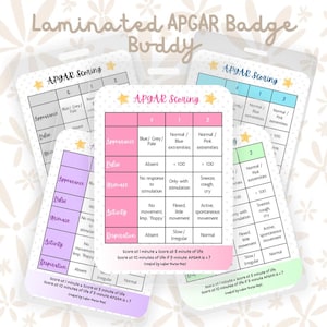 APGAR Score Badge Buddy | Updated NRP Reference Card with Umbilical Cord Gas Values and SpO2 Timing