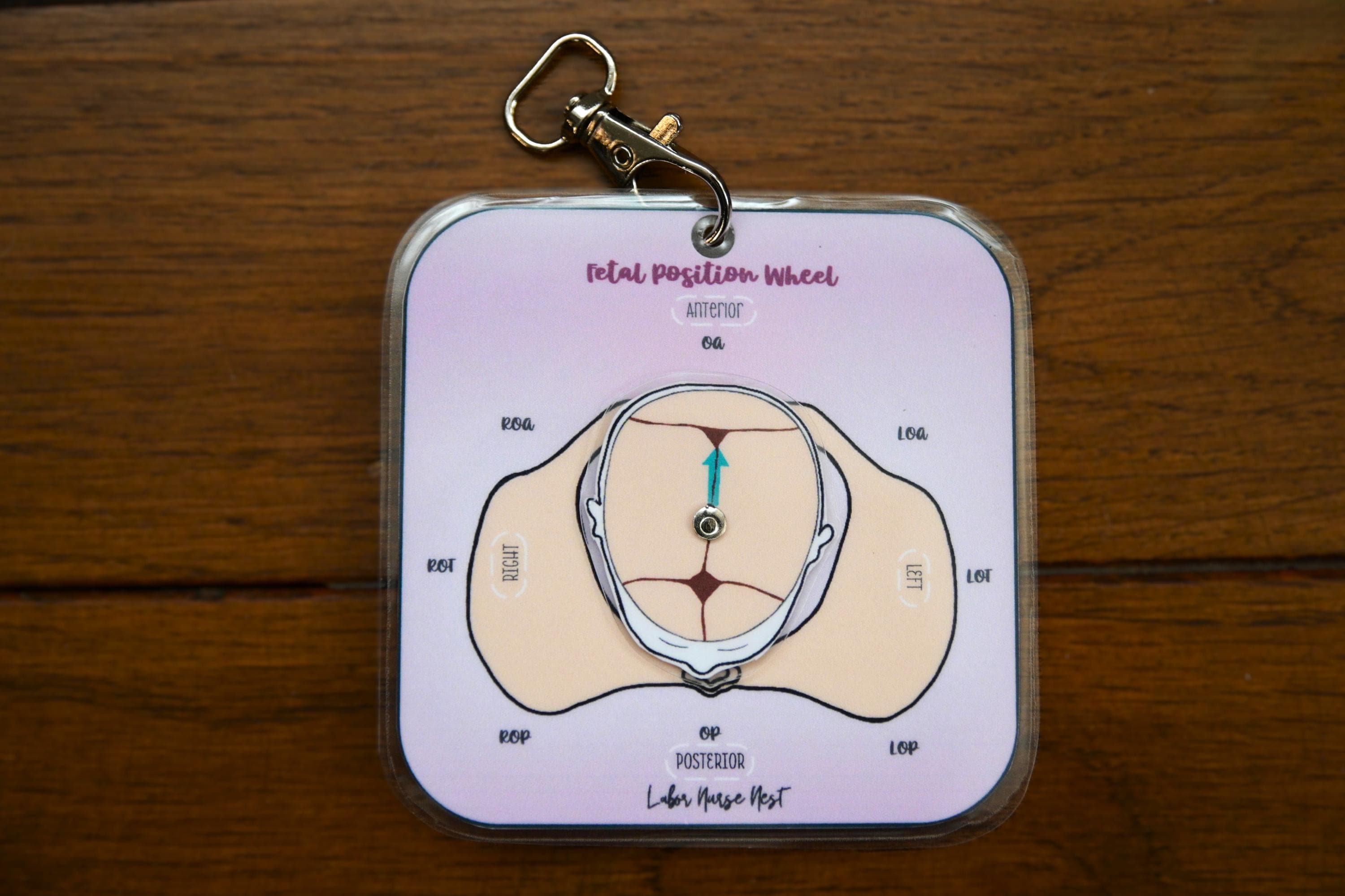 Fetal Position Wheel Badge Buddy, Laboring Patient Visual Education Aide