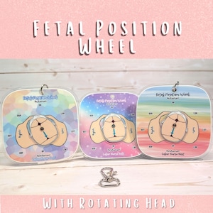 May include: Three Fetal Position Wheels with rotating heads. Each wheel has a different pastel background and a diagram of a fetus. The text "Fetal Position Wheel" is at the top of each wheel. A silver swivel clasp is at the bottom.
