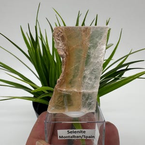 TOP QUALITY! Golden Phantom Selenite Slabs. Fishtail Selenite. Utah Raw Golden Selenite Slab / Wands. Utah Selenite. Sheet Selenite. Gift