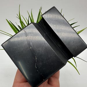 May include: A dark gray, geometric, angled sculpture with a textured surface. The sculpture is made of a solid material and has a folded, zig-zag design. Green grass-like plants are behind the sculpture.